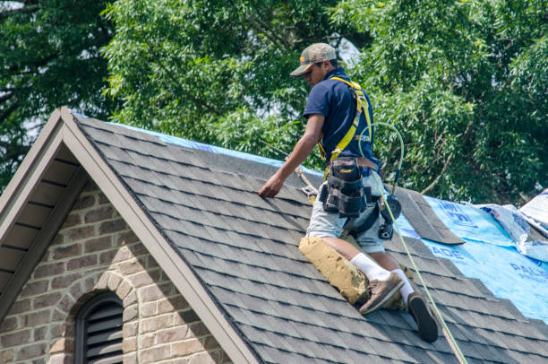 Professional Roofing Contractor in Carbondale, CO